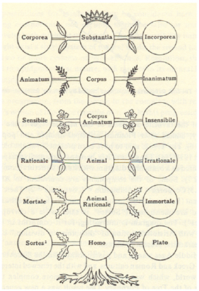 Porphyry’s Tree (Baldwin, 1911, p. 714)