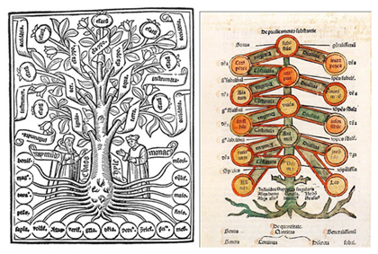Left: “Arbor scientiae”(Tree of Science), Ramon Llull, 1295-1296. Right: Paoplus Pergulensis, 1486
