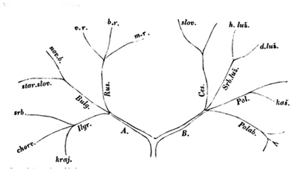 Slavic languages family tree, Frantisek Celakovský, 1853 (O´Hara, 1996, 81-88)