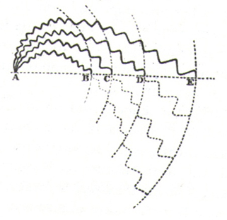 One of Barry’s diagrams in his 1837 essay: On the unity of structure in the animal kingdom. The diagram shows the single point of origin based on an archetypal shape (A) and the subsequent divergence in the structure of each group of organisms: B, fish; C, reptiles; D, birds and E, mammalians.