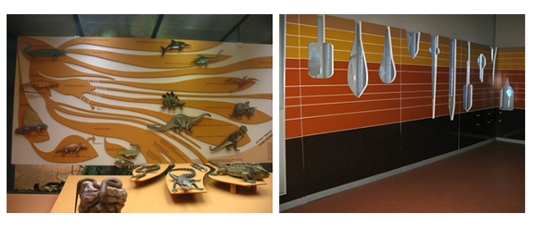 Left: Evolutionary tree at the American Museum of Natural History, displaying the appearance and disappearance of species, as well as their relative abundance. Right. Portrayal of the evolutionary history of some lineages, at the Universum science museum in Mexico City.