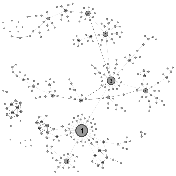 Degree of the individuals in a network