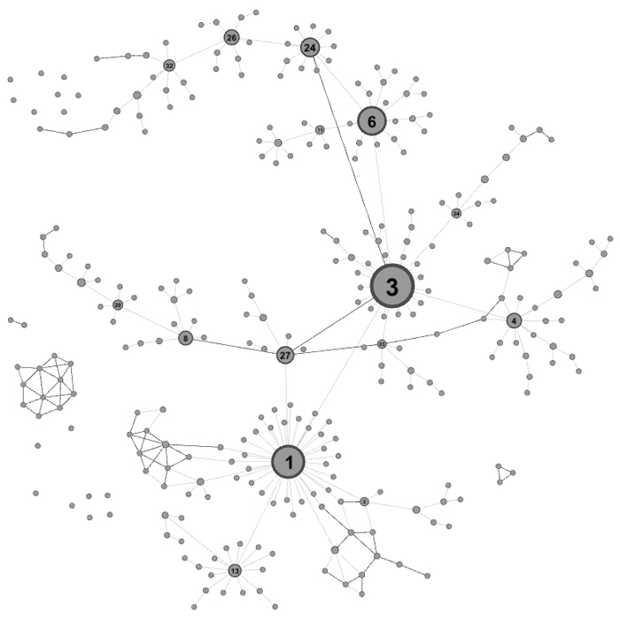 Betweenness of the individuals in a network