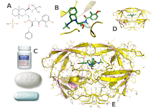 From crystals to drugs. The path towards a drug starts with the conception of an inhibitor (A) which ignores the actual three dimensional structure of the compound once in the active site of the enzyme (B). Before arriving at a formulation for the patient (C) it passes through a crystal structure. The results are often shown in a simplified representation that shows only the secondary structure of the protein (D) and not all the atoms (E). HIV protease inhibitors, including Viracept, are one of the great successes of structure-based drug design. (From the PDB entry: 1OHR; Kaldor et al., 1997).