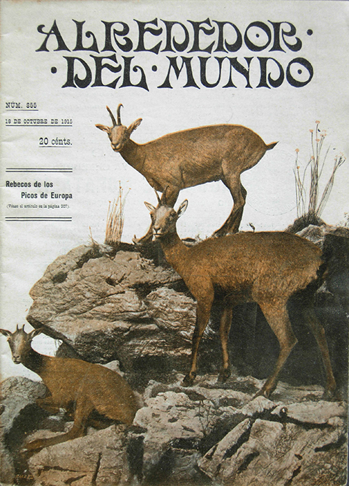 El grupo de los rebecos del Museo Nacional de Ciencias Naturales en la portada del n&uacute;mero de 18 de octubre de 1915 de la revista ilustrada Alrededor del Mundo