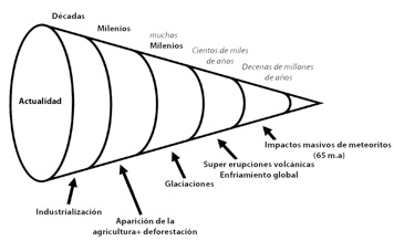 Evolución histórica y gradual de los eventos que han condicionado a través de diferentes factores el contexto actual de la conservación de invertebrados e insectos