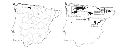 Distribución observada (a) y potencial (b) en la Península Ibérica de la especie de lepidóptero amenazado Maculinea nausithous. Gran parte de la distribución potencial se basa en territorios con abundancia de pastizales y actividad ganadera en extensivo
