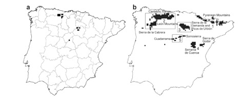 Distribuci&oacute;n observada (a) y potencial (b) en la Pen&iacute;nsula Ib&eacute;rica de la especie de lepid&oacute;ptero amenazado Maculinea nausithous. Gran parte de la distribuci&oacute;n potencial se basa en territorios con abundancia de pastizales y actividad ganadera en extensivo
