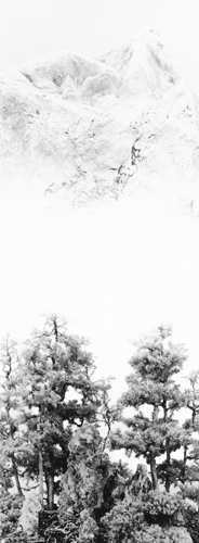 Dana Fritz. Mountain Forest, de la serie Views Removed. 2014. Gelatin silver print