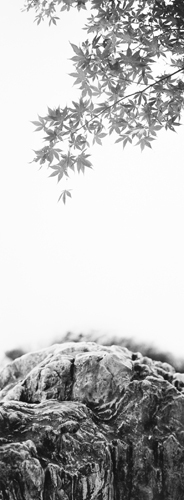 Dana Fritz. Momiji, de la serie Views Removed. 2014. Gelatin silver print