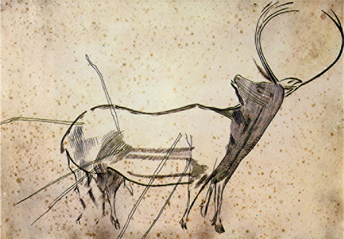 La caza masiva se completó probablemente con las cacerías de ciervos durante la época de celo otoñal (Straus, 1983). En la imagen, grabado de ciervo alanceado de la cueva de Peña de Candamo (Asturias).