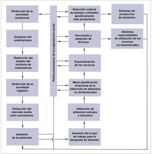 La Teor&iacute;a de la presi&oacute;n demogr&aacute;fica ha influido sobremanera en las interpretaciones sobre los modos de adaptaci&oacute;n de las pr&aacute;cticas cineg&eacute;ticas de los cazadores-recolectores peninsulares. La imagen presenta un modelo metodol&oacute;gico propio de la Arqueolog&iacute;a procesual, ideado por D. R. Harris () para explicar las relaciones adaptativas que mediaron entre el modo cazador-recolector y el productor, sobre la base de la Teor&iacute;a de la presi&oacute;n demogr&aacute;fica.