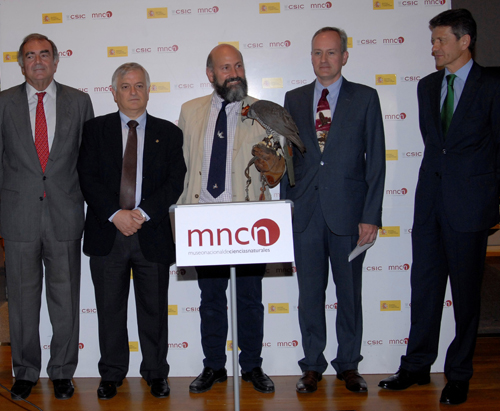 La exposici&oacute;n de cetrer&iacute;a aliment&oacute; la relaci&oacute;n del Museo Nacional de Ciencias Naturales con entidades privadas. De izquierda a derecha, D. &Iacute;&ntilde;igo D&iacute;az de Espada, Director general de Comunicaci&oacute;n y Relaciones Institucionales de CEPSA, el doctor Jos&eacute; Ram&oacute;n Urquijo, Vicepresidente de Organizaci&oacute;n y Relaciones Institucionales del Consejo Superior de Investigaciones Cient&iacute;ficas, el doctor Javier Ceballos, comisario de la exposici&oacute;n, el doctor Santiago Merino, Director del Museo Nacional de Ciencias Naturales, D. Federico de la Hoz, Director de la Fundaci&oacute;n Iberdrola