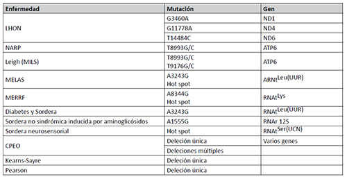 Mutaciones más frecuentes de DNA mitocondrial y enfermedades asociadas. Una lista actualizada de mutaciones asociadas a distintos fenotipos puede encontrarse en MITOMAP: A Human Mitochondrial Genome Database. [En línea]. Disponible en: http://www.mitomap.org
