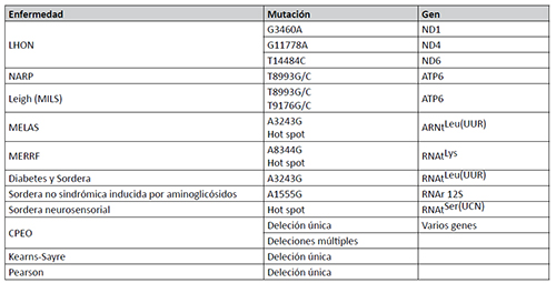 Mutaciones m&aacute;s frecuentes de DNA mitocondrial y enfermedades asociadas. Una lista actualizada de mutaciones asociadas a distintos fenotipos puede encontrarse en MITOMAP: A Human Mitochondrial Genome Database. [En l&iacute;nea]. Disponible en: http://www.mitomap.org