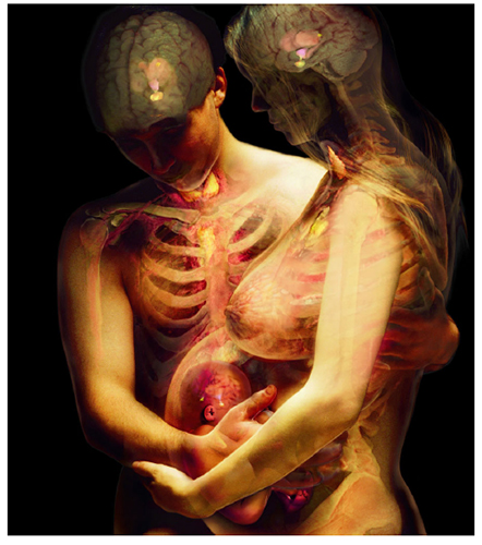 A. Tsiaras, Anatomical Travelogue/The Visual MD©, Familia