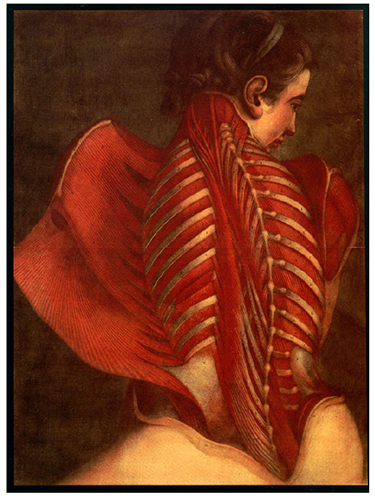 J.-F. Gautier d’Agoty, El &aacute;ngel anat&oacute;mico, 1746