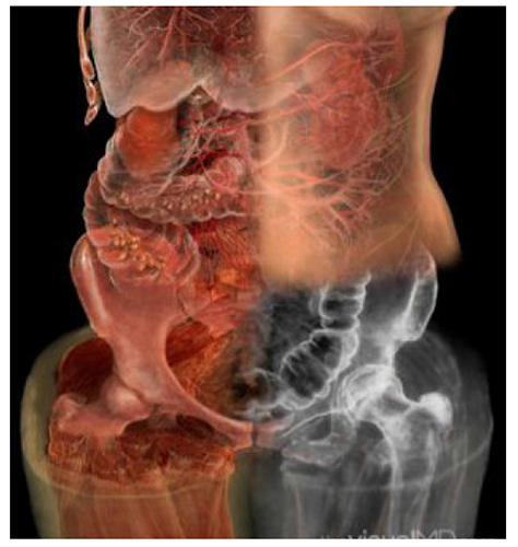 A. Tsiaras, Anatomical Travelogue/The Visual MD©, Cuatro sistemas