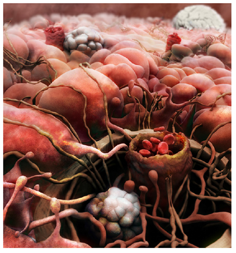A. Tsiaras, Anatomical Travelogue/The Visual MD©, Redes