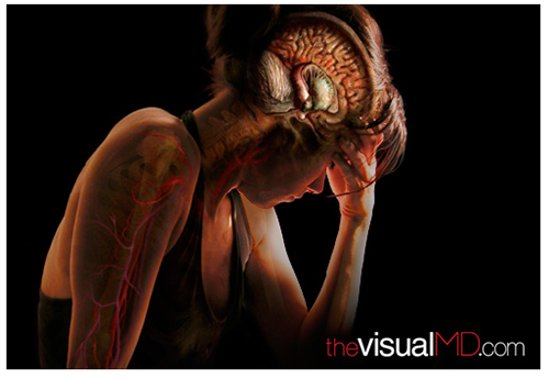A. Tsiaras, Anatomical Travelogue/The VisualMD©, Estr&eacute;s