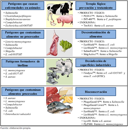 Principales aplicaciones y ejemplos de bacteriófagos comerciales y endolisinas que se pueden aplicar frente a bacterias patógenas a lo largo de la cadena alimentaria